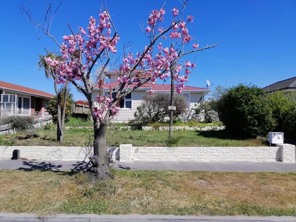 Homestay Family Room, Near The City Center Christchurch Buitenkant foto
